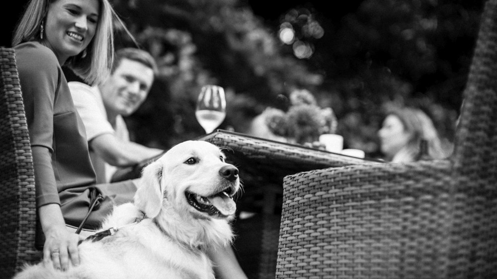 Attracting Consumers with Experiences - Not Things - Across Property Types