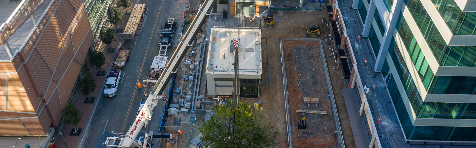 Majestic 45-Foot Tall Live Oak Makes New Home at Ally Charlotte Center